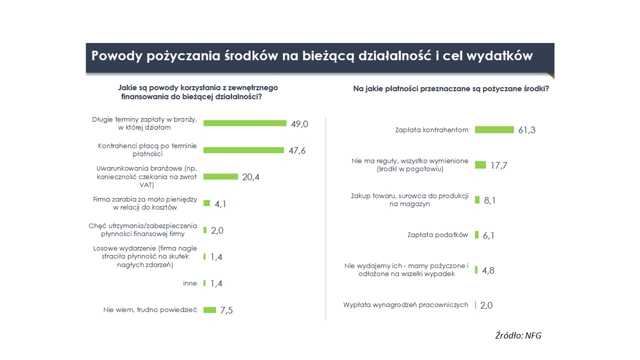 Dlaczego pożyczamy pieniądze